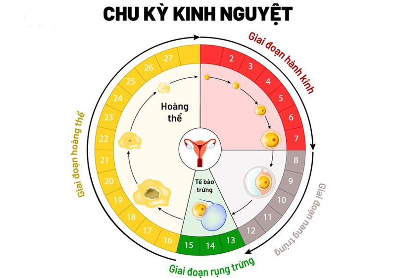 [Tổng quan] Tìm hiểu chi tiết về tình trạng kinh nguyệt không đều